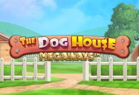 dog house megaways kazan