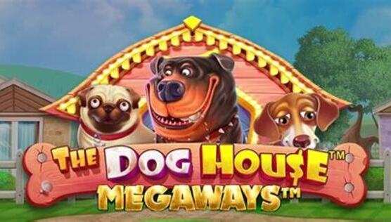 dog house slot oyna